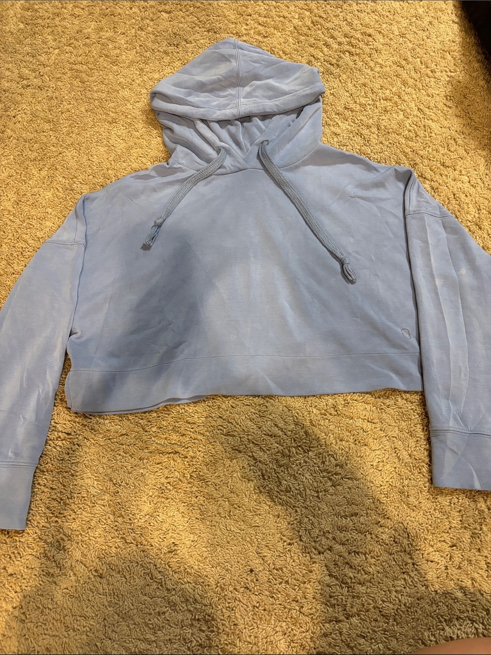 Cropped Light Blue Hooded Sweatshirt - Women's Crop Top
